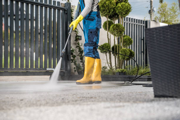 Best Rust Removal  in Borden, IN