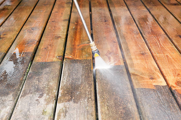 Best Solar Panel Cleaning  in Borden, IN